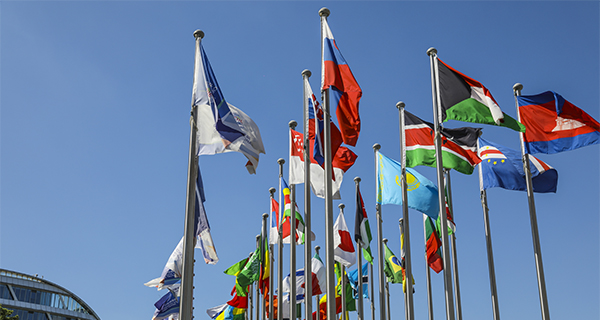 外事系統(tǒng)管理平臺